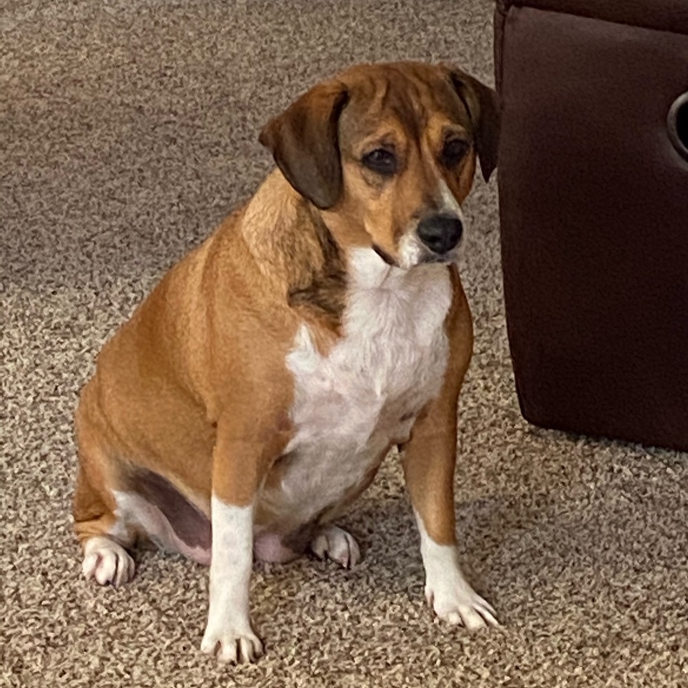 Meet your Posher, Kameha